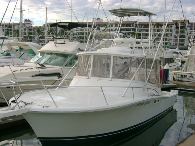  Yachts in the marina 